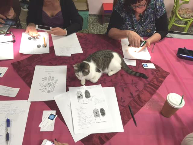 Palmistry Workshop 2